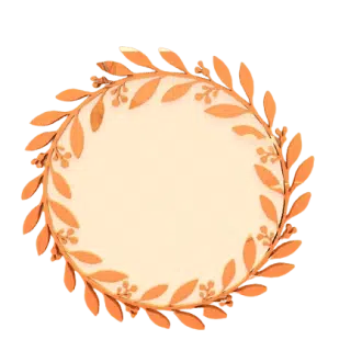 Wooden frame + mirror