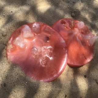 Orange rocky coaster