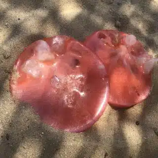 Orange rocky coaster