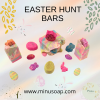 Easter Hunt Herbal Bars