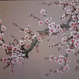 Cherry blossom