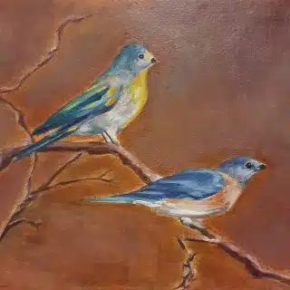 Cute blue birds