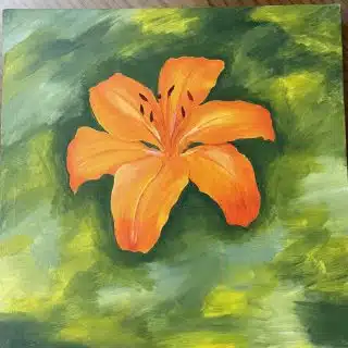 Lily Flower