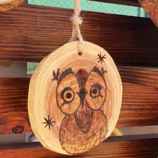 Owl in A Starry Night
