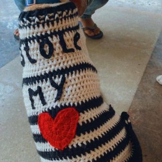 Stole my heart bog Dog vest