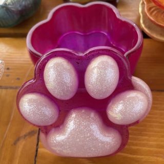 Resin Paw box