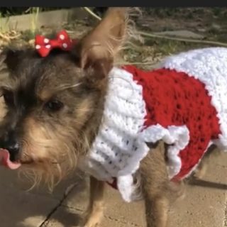 Cutie small Xmas dress