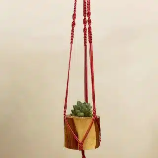 Macrame Plant Hanger - MPH0017