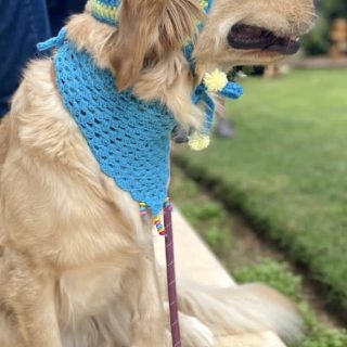 Winter Bennie & bandana