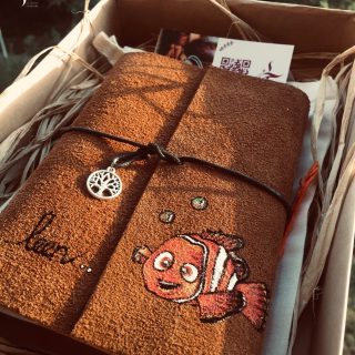 Nemo notebook