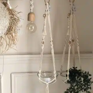 Honey plant.& candle holder