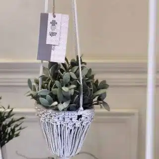 Plant holder