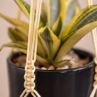 Macrame Plant Hanger - MPH0002