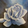 Blue Rose