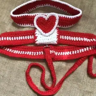 Dogs valentines Harness 2 C87D5579 D44D 4F30 9FF5 D8B02602D124