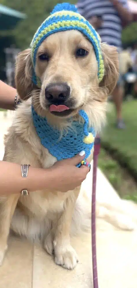 Winter Bennie & bandana 3 CAD64B41 9306 4A7E 8714 0BEE7817A9A6