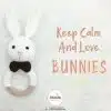 Bunny rattle and teether