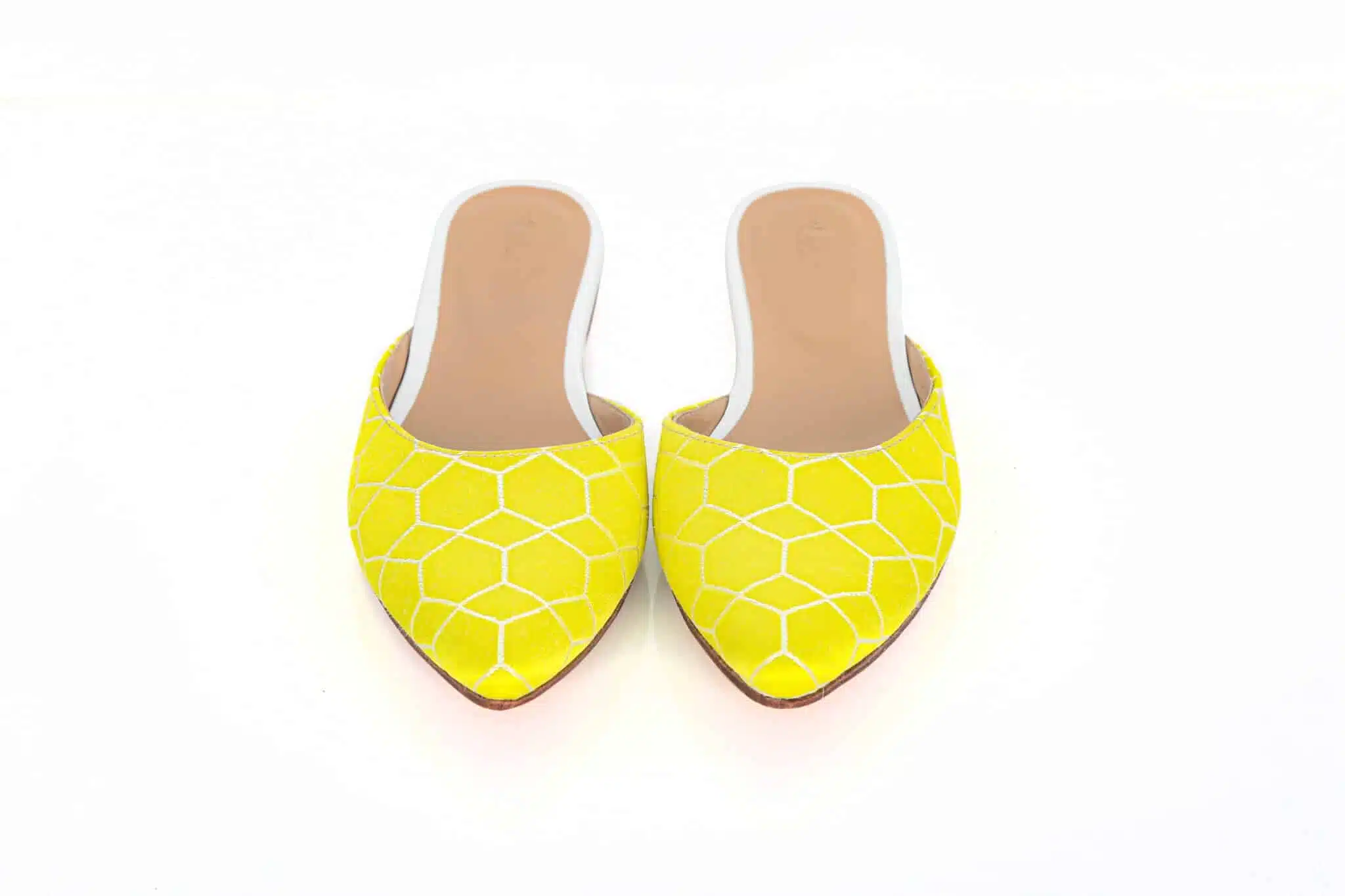 Electric mule 1 Electric mule