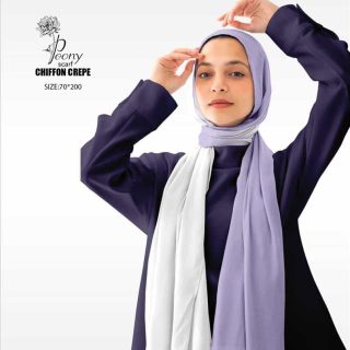 Gradian Light Purple & White