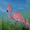 Flamingo 01