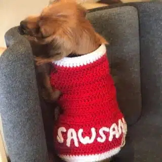 Christmas vest with furry baby name