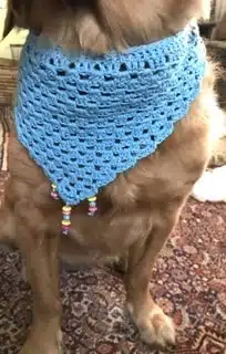 Winter Bennie & bandana 4 DEA03B90 CD35 42B5 880C B6C25F4EB068