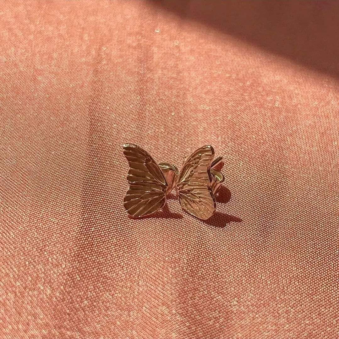 Butterfly wing studs 2 FB IMG 1726095033317