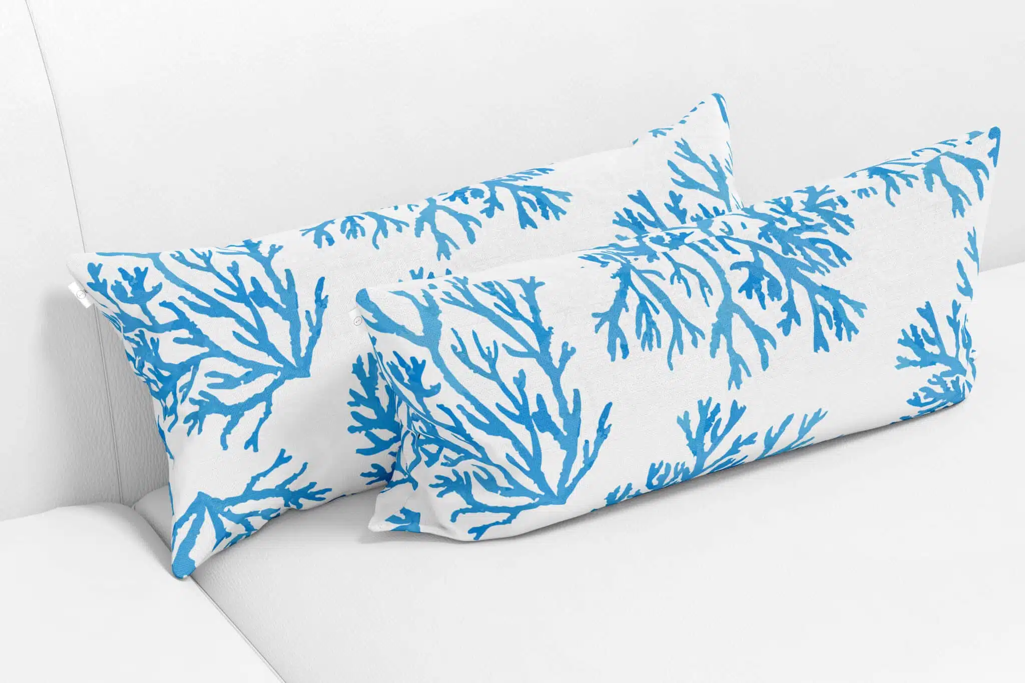 Cushion Corals underwater 1 Cushion Corals underwater