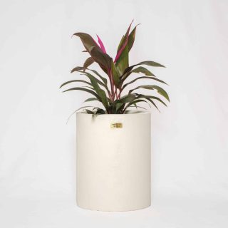 Hapi Concrete Planter