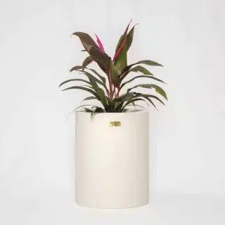 Hapi Concrete Planter