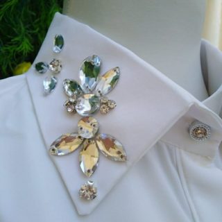 Shirt collar
