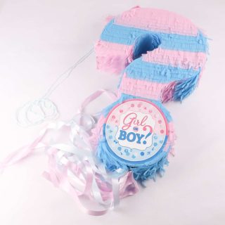 Gender Reveal piñata