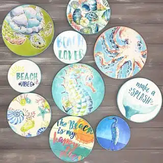 "Colorful Sea Shell" Wall Plates Collection