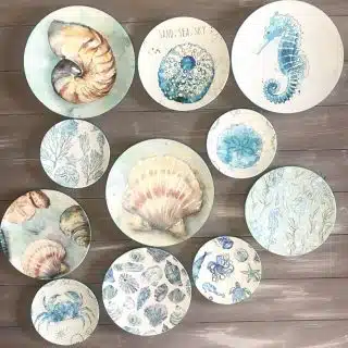 "Mint Sea Shells" Wall Plates Collection