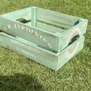 Multipurpose Box Mint