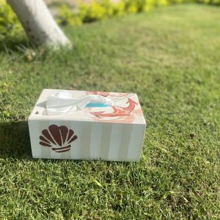 Coral Anchor Tissue Box