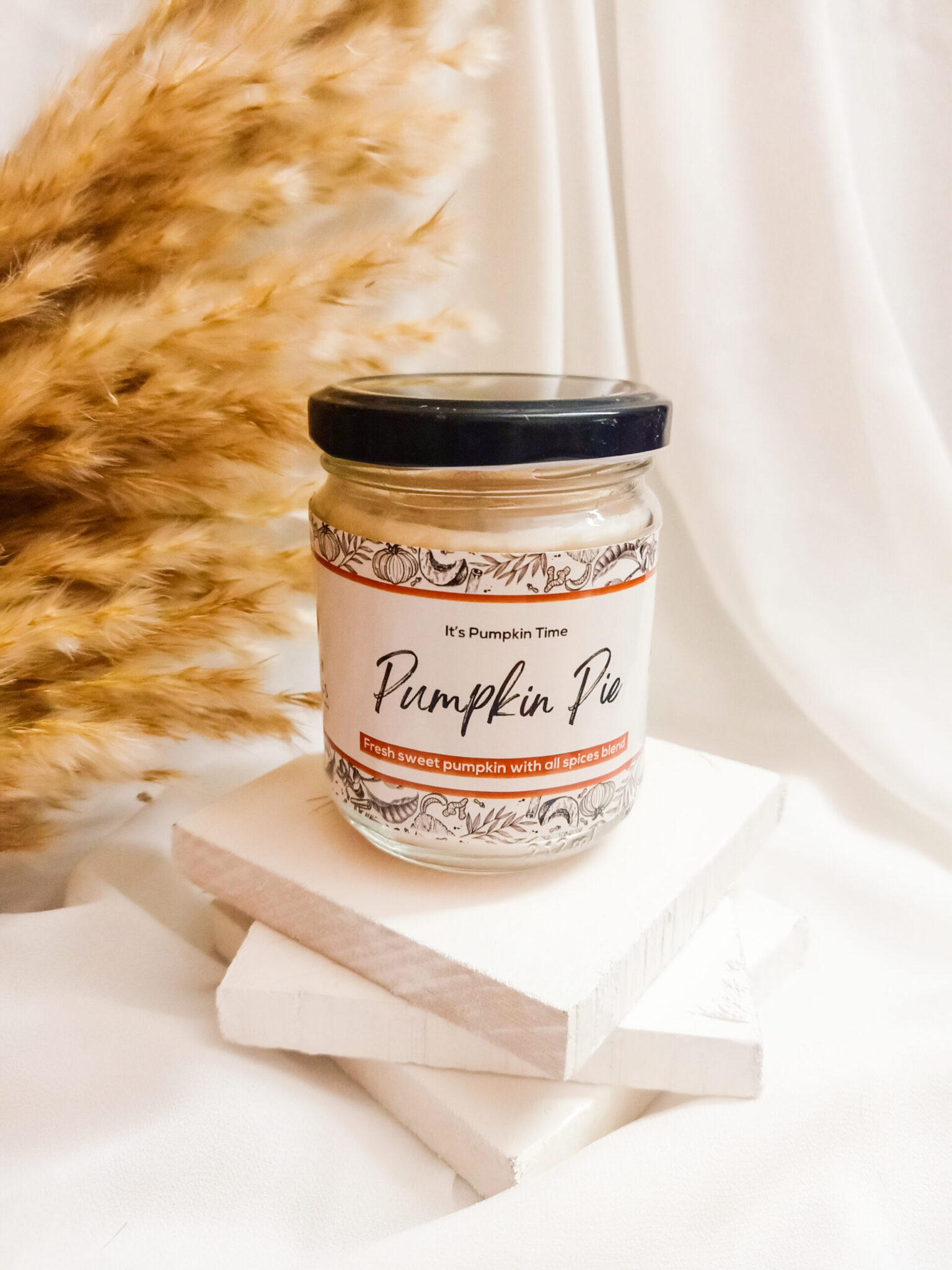 Pumpkin Pie 2 IMG20230225204123 1 scaled scaled