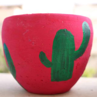 Green Cactus with hot pink base Pottery Pot