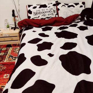 Cow Blankie