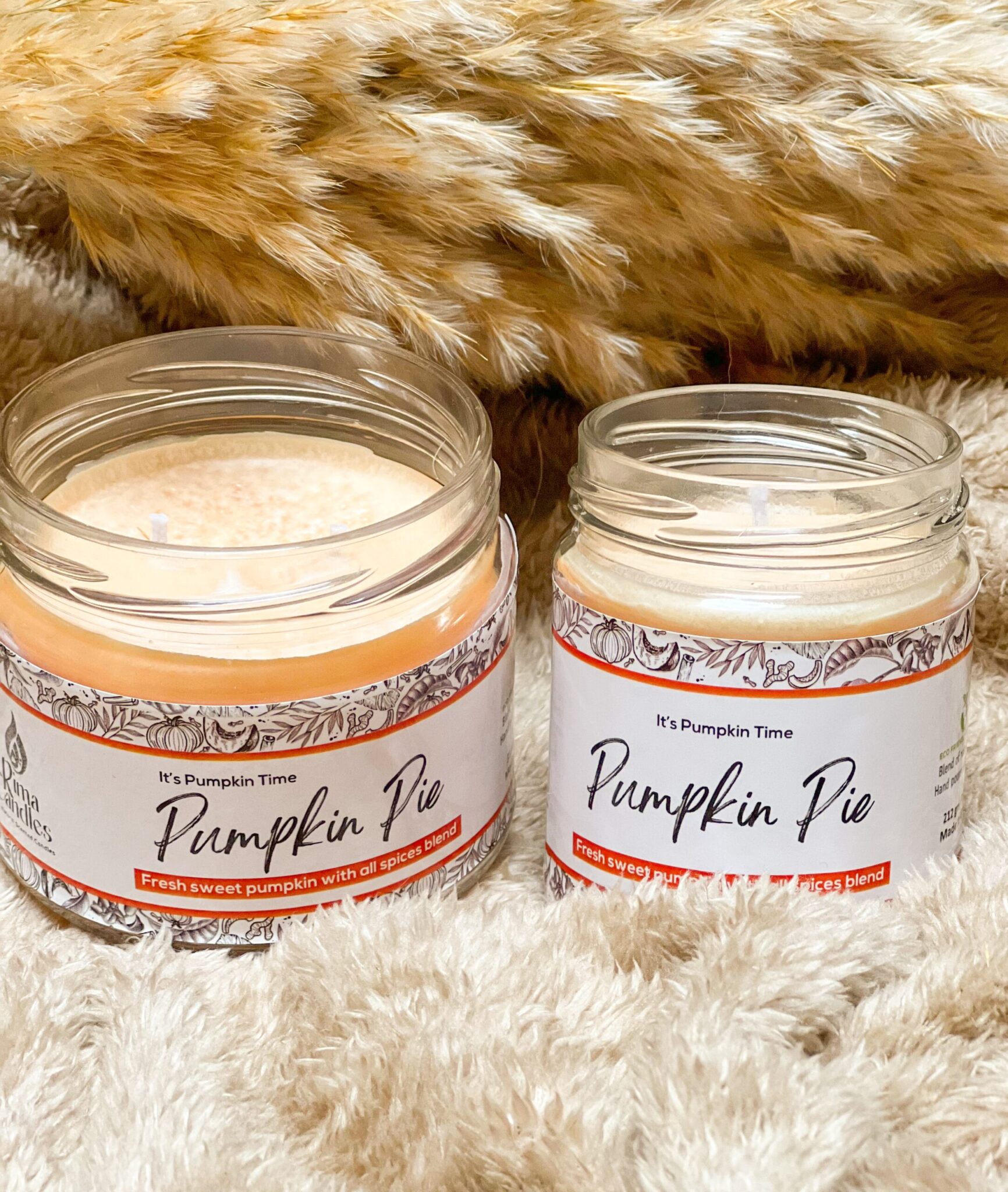 Pumpkin Pie 2 IMG 20230201 213017 326 scaled scaled