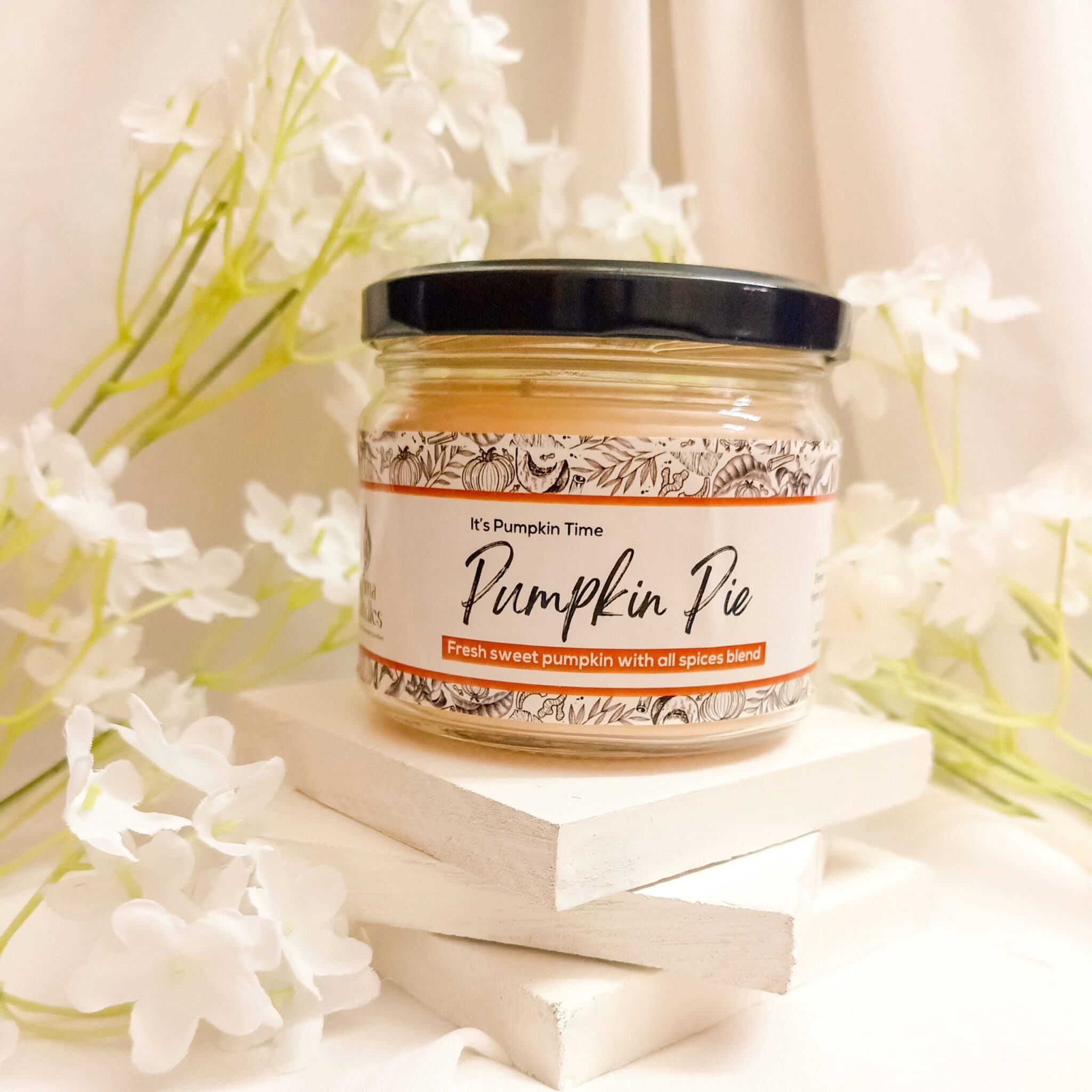 Pumpkin Pie 1 Pumpkin Pie