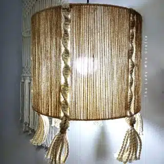 Jute and macrame chandelier β¨π
