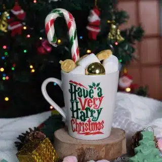 Harry Christmas mug ⚡