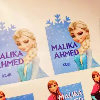 Frozen waterproof school stickers
