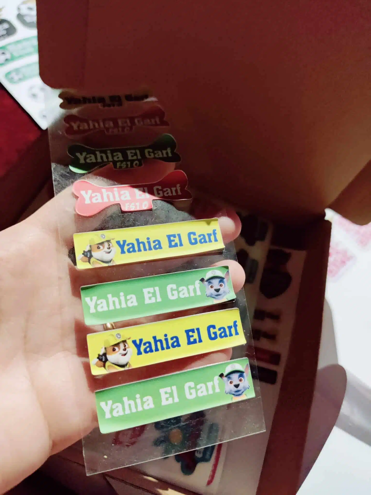 Paw patrol waterproof school stickers 4 IMG 20240826 231128 scaled