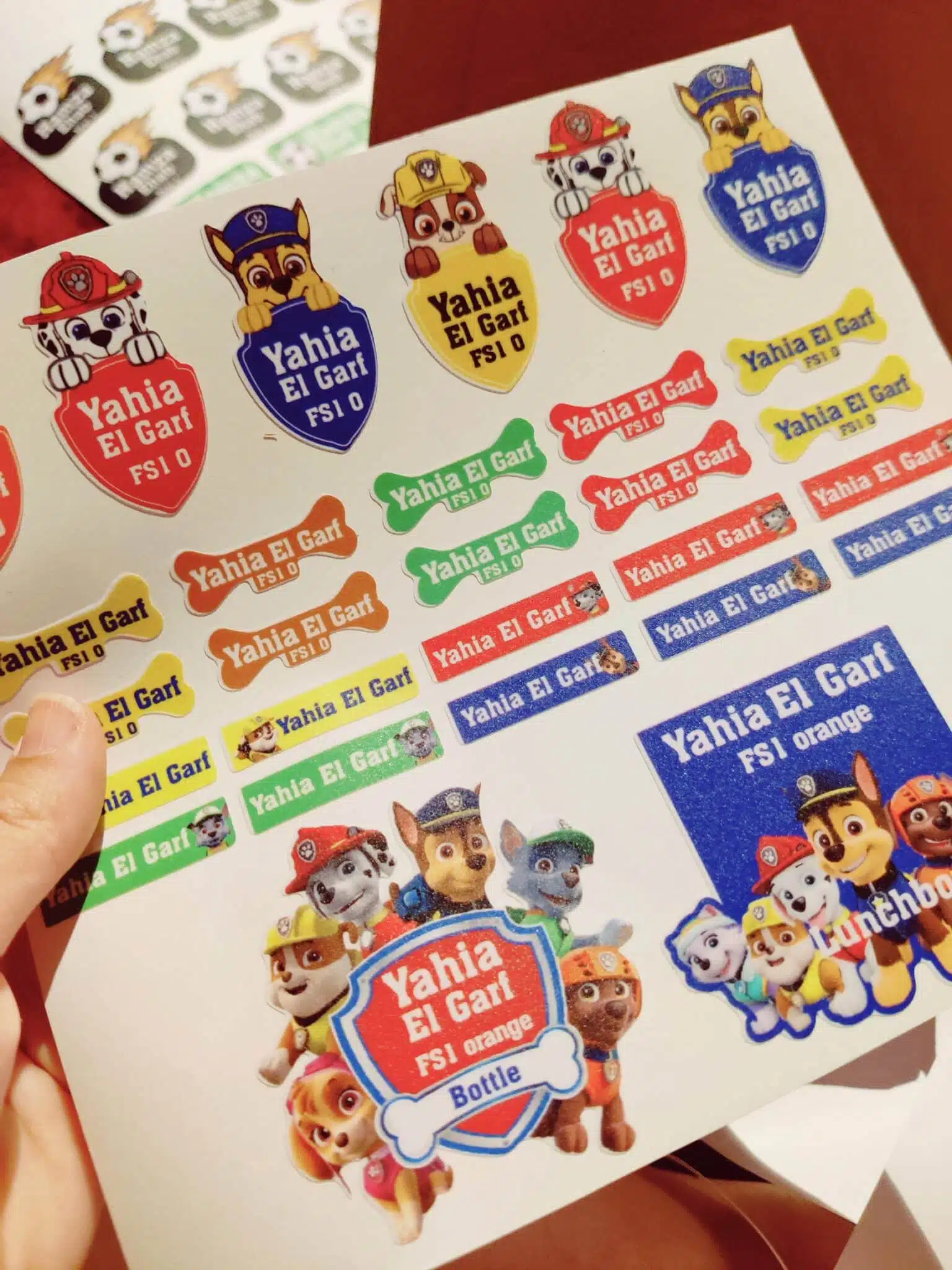 Paw patrol waterproof school stickers 3 IMG 20240827 031231 scaled