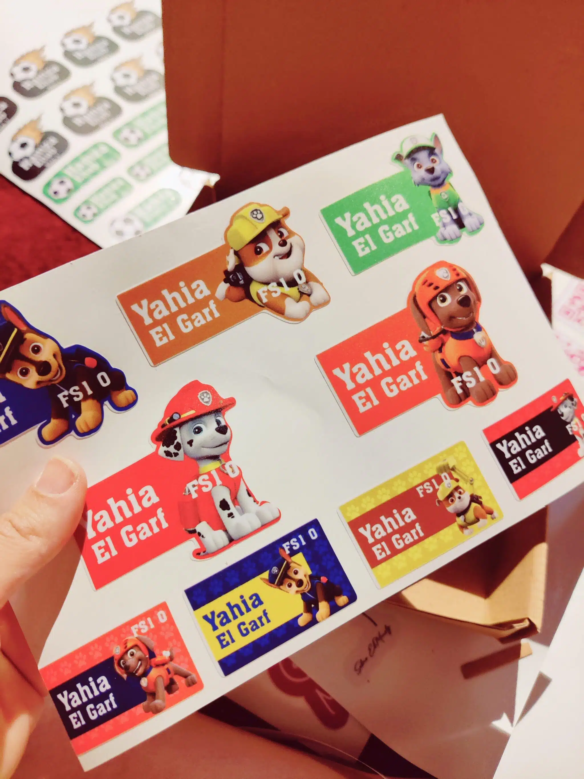 Paw patrol waterproof school stickers 2 IMG 20240827 031309 scaled
