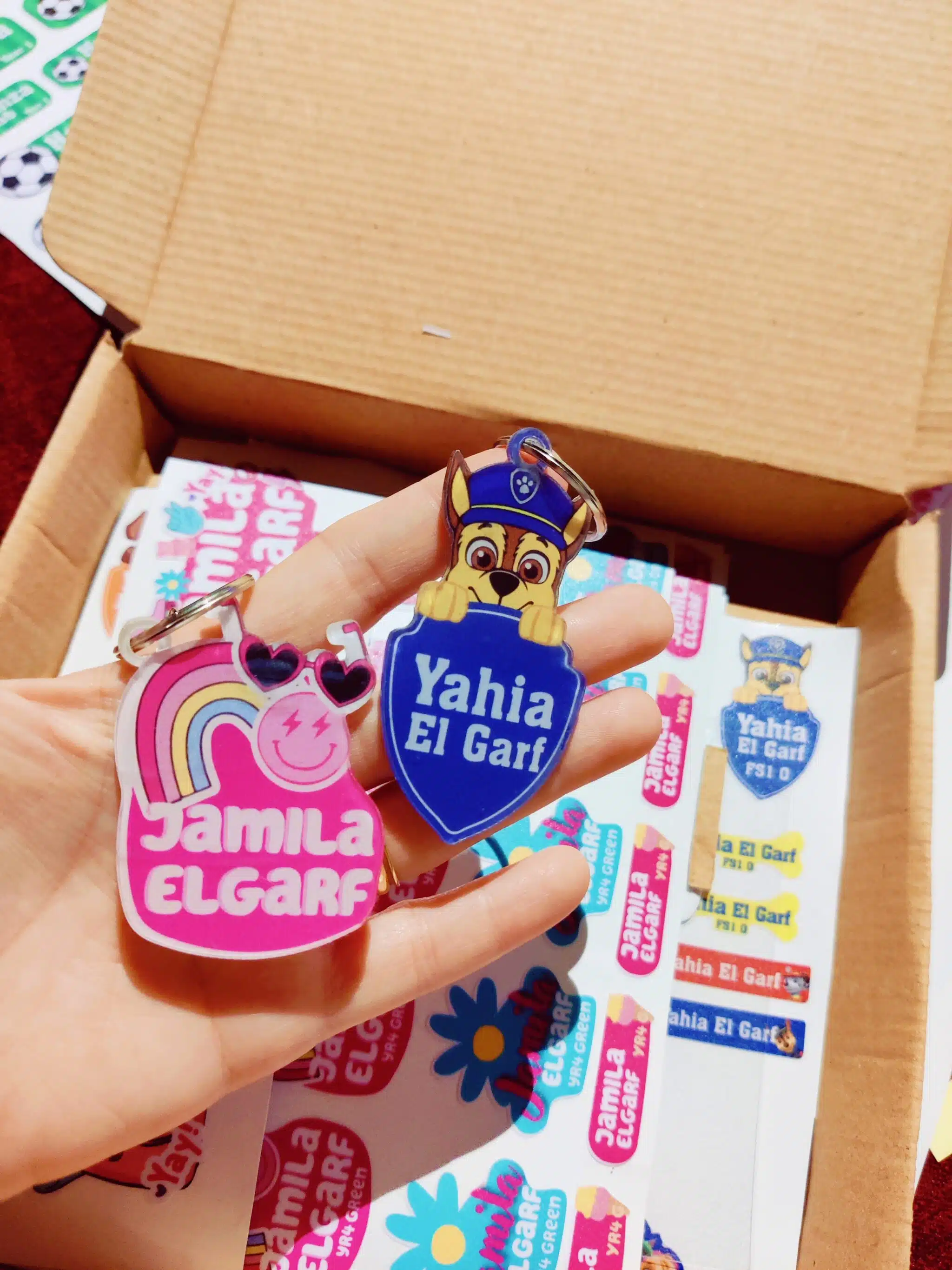 Paw patrol waterproof school stickers 6 IMG 20240827 031626 scaled