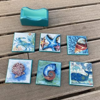 Mint Summer Coasters