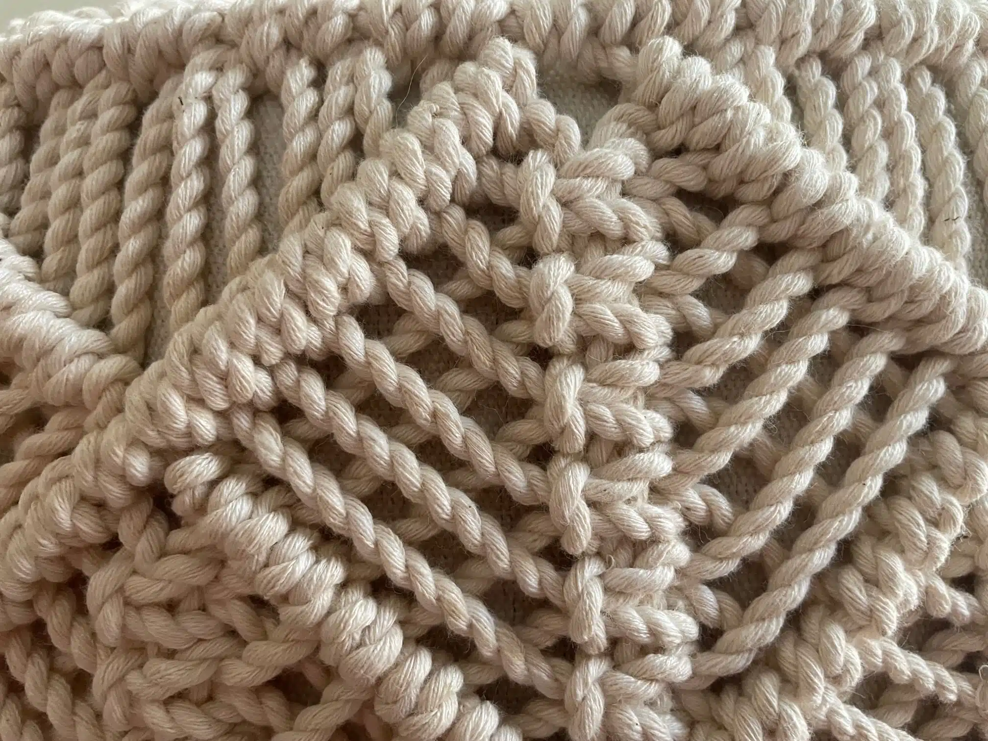 Lotus Puff 9 IMG 3966